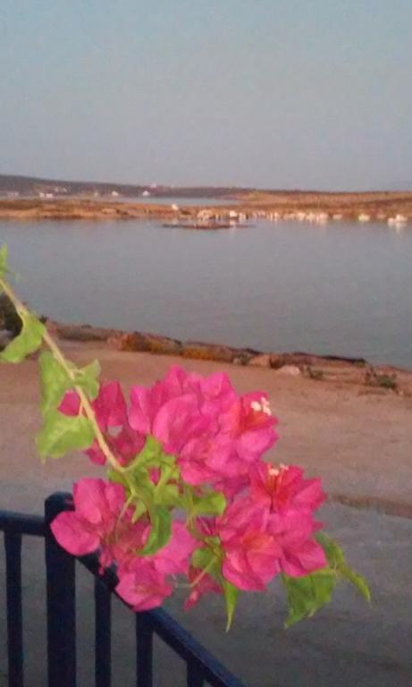 Bocamviglies By The Sea Hotell Náousa Exteriör bild
